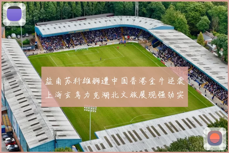 盐南苏科雄狮遭中国香港金牛逆袭上海玄鸟力克湖北文旅展现强劲实力